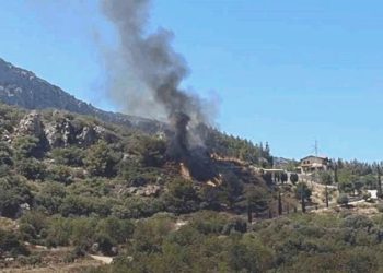 Son Dakika: Adana’nın akabinde Datça’da orman yangını!