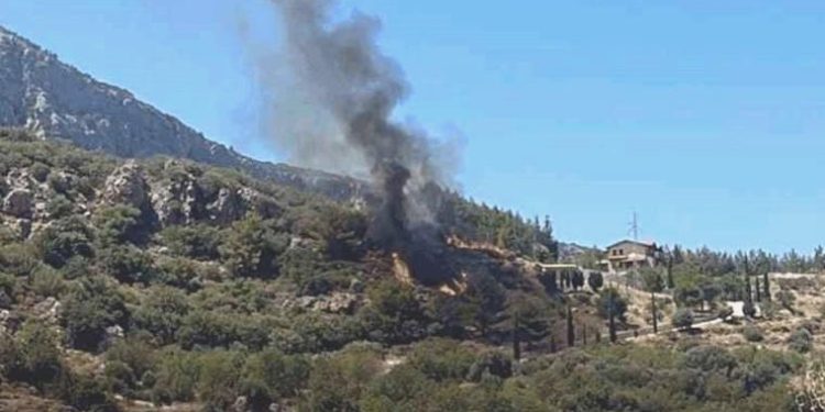 Son Dakika: Adana’nın akabinde Datça’da orman yangını!