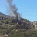 Son Dakika: Adana’nın akabinde Datça’da orman yangını!