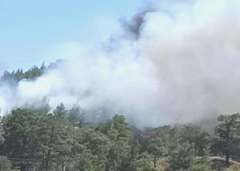 Son dakika… Marmaris’te iki farklı alanda orman yangını çıktı