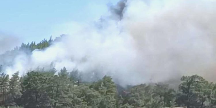 Son dakika… Marmaris’te iki farklı alanda orman yangını çıktı