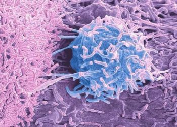 Tümörlerde yaşayan mikroplar, kanserin nedeni ve tedavisiyle ilgili ne çeşit ipuçları veriyor?