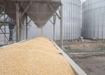 Ukrayna Savaşı: Tahıl Mutabakatı’yla yola çıkan son tahıl gemisi Odesa’dan ayrıldı