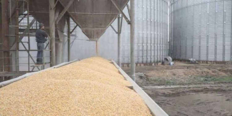 Ukrayna Savaşı: Tahıl Mutabakatı’yla yola çıkan son tahıl gemisi Odesa’dan ayrıldı