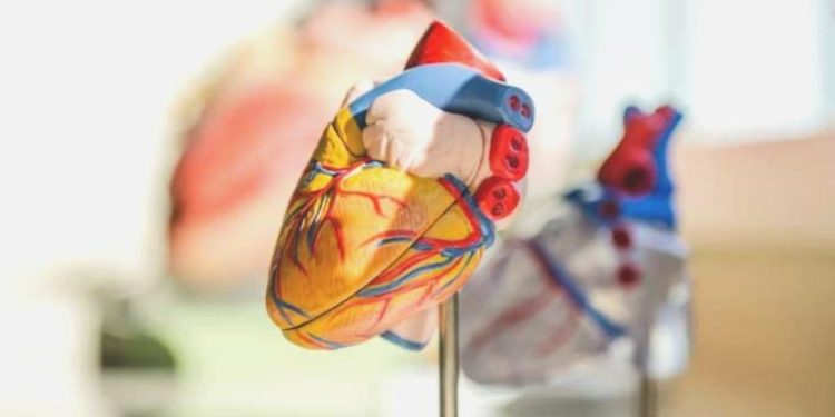 Uzmanı uyardı: ‘D vitamini eksikliği kalp damar sıhhatini bozuyor’