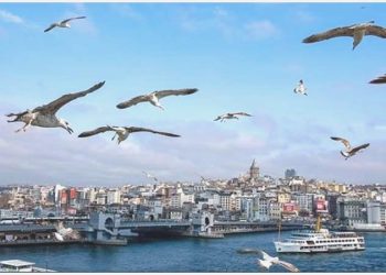 Uzmanından sıcaklık uyarısı: ‘Sıcak havalarda koyu renk elbise ve yağlı yiyeceklerden uzak durun’