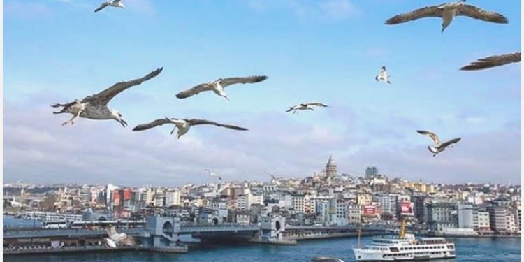 Uzmanından sıcaklık uyarısı: ‘Sıcak havalarda koyu renk elbise ve yağlı yiyeceklerden uzak durun’