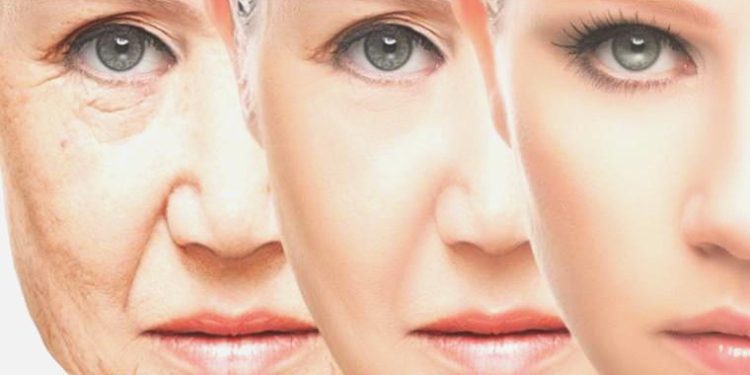 Yapay zeka yaşlanmaya karşı en tesirli molekülü buldu