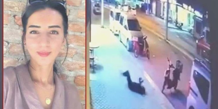 Zerin Kılınç’ın vefatına dair savcılık mütalaasını açıkladı: Pencereden düşerek mevtinde, ‘sanık sevgili itti’ tespiti