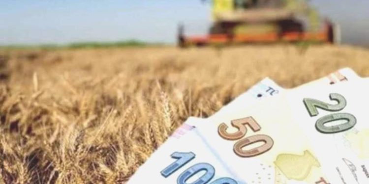 Ziraî destekleme ödemeleri bugün çiftçilerin hesaplarına aktarılıyor