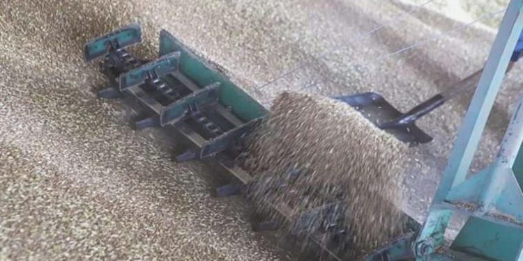 AB’den ‘büyük besin krizi’ uyarısı