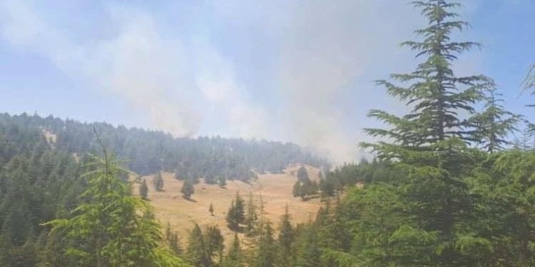 Adana’da orman yangını!