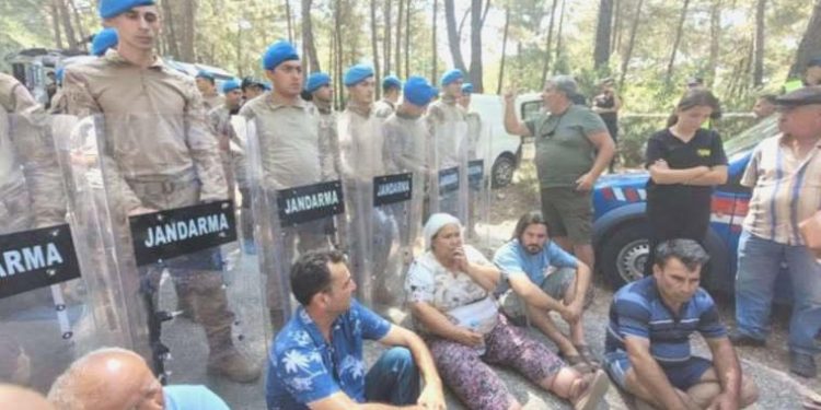 Akbelen Ormanı’na ulaşmak isteyen Av. Atal’a jandarma müdahalesi: ‘Termik santra şirketinin yaptığı iş terör faaliyetidir’