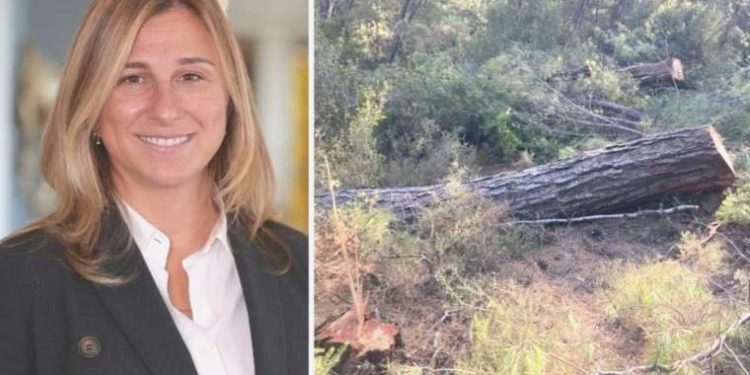 Akbelen Ormanı’nı katleden Limak Holding’in işvereni ‘Doğal Hayatı Muhafaza Vakfı’ üyesi çıktı