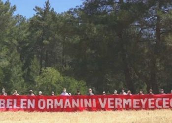 Akbelen Ormanı’nın korunması için sivil toplum kuruluşlarından ortak çağrı!