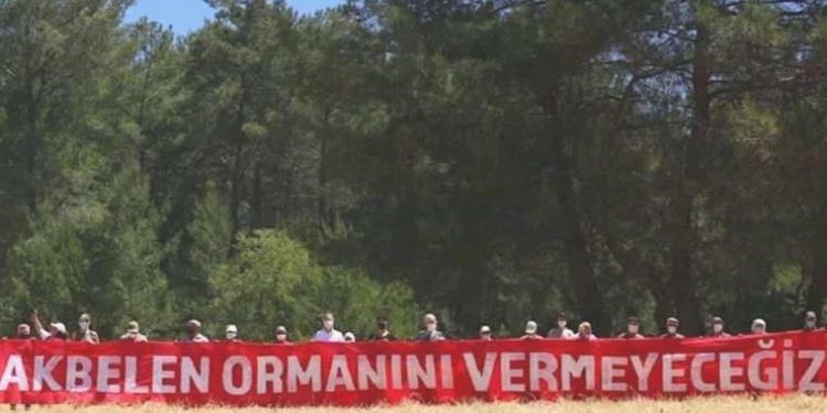 Akbelen Ormanı’nın korunması için sivil toplum kuruluşlarından ortak çağrı!