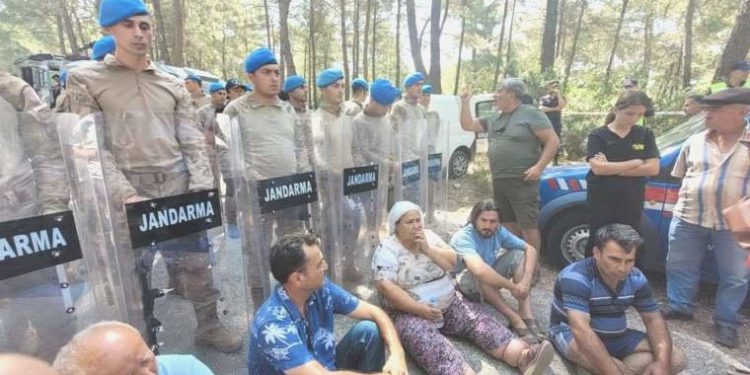 Akbelen’de ağaçları kesen şirketle OGM ortasında ‘ağaç katliamı’ protokolü imzalanmış!