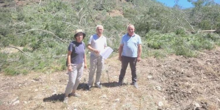 Akbelen’de katliam: Erdoğan hakkında cürüm duyurusunda bulunuldu!