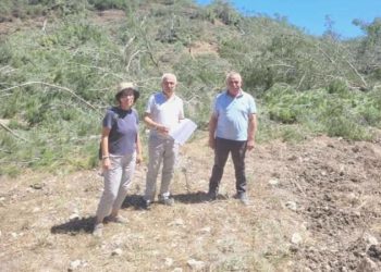 Akbelen’de katliam: Erdoğan hakkında hata duyurusunda bulunuldu!