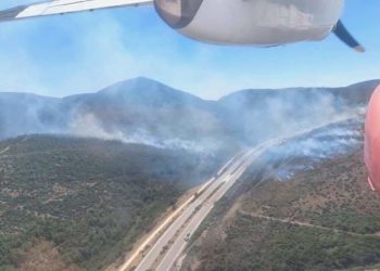 Alev alan araba orman yangınına yol açtı: Müdahale sürüyor