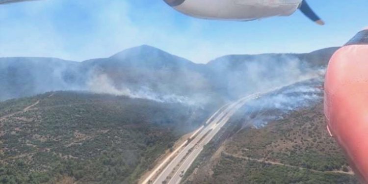 Alev alan araba orman yangınına yol açtı: Müdahale sürüyor