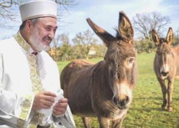 Ankara Müftüsü Çınar’dan yeni fetva: Yabani eşeğin eti de sütü de helal!