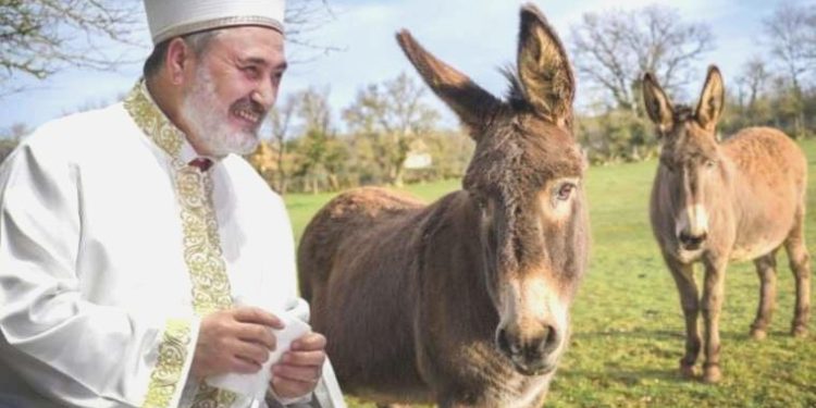 Ankara Müftüsü Çınar’dan yeni fetva: Yabani eşeğin eti de sütü de helal!