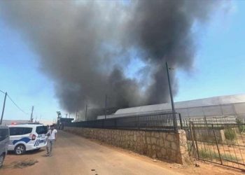 Antalya’da çiçek üretimi yapan firmada yangın çıktı!