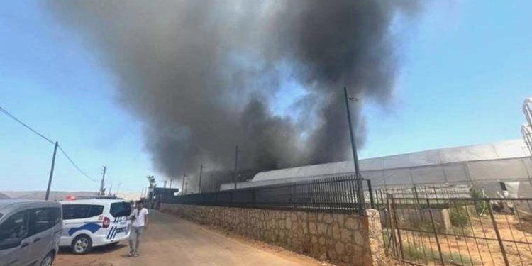 Antalya’da çiçek üretimi yapan firmada yangın çıktı!