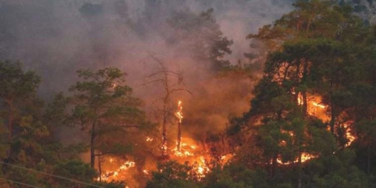 Antalya’da eş vakitli 2 orman yangını