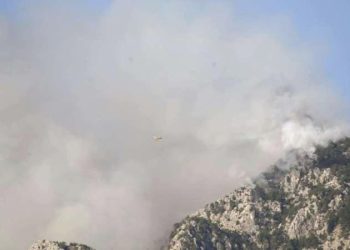 Antalya’daki orman yangın ikinci gününde devam ediyor!