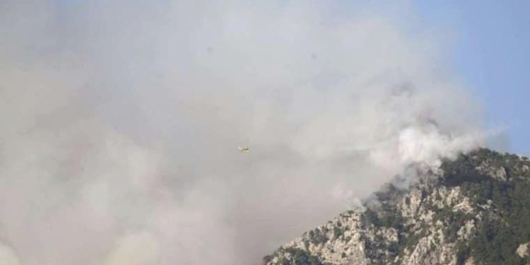 Antalya’daki orman yangın ikinci gününde devam ediyor!