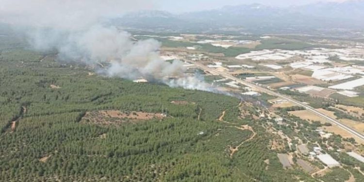 Antalya’nın iki ilçesinde orman yangını
