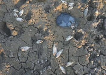 Araştırmacılar uyardı: Besin güvenliği tehdit altında