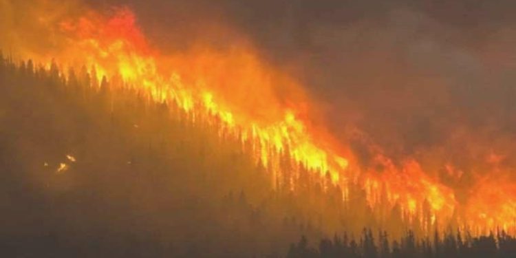 Bakan İbrahim Yumaklı açıkladı: Son 10 günde 203 orman yangını çıktı