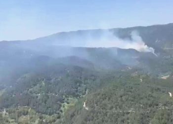Balıkesir’de orman yangını: Takımlar müdahale ediyor!