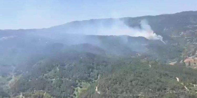 Balıkesir’de orman yangını: Takımlar müdahale ediyor!
