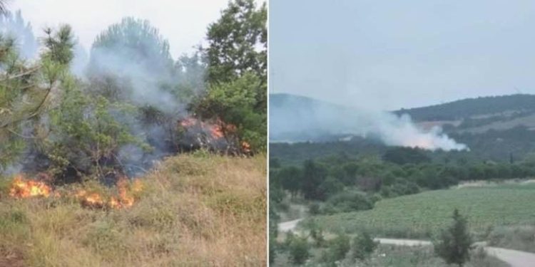 Bandırma’da orman yangını!