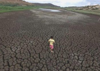 Bilim insanları açıkladı: ‘Bütün sebep iklim değişikliği’