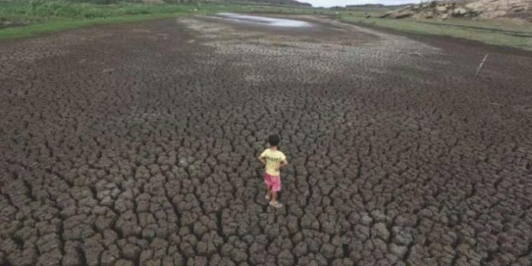 Bilim insanları açıkladı: ‘Bütün sebep iklim değişikliği’