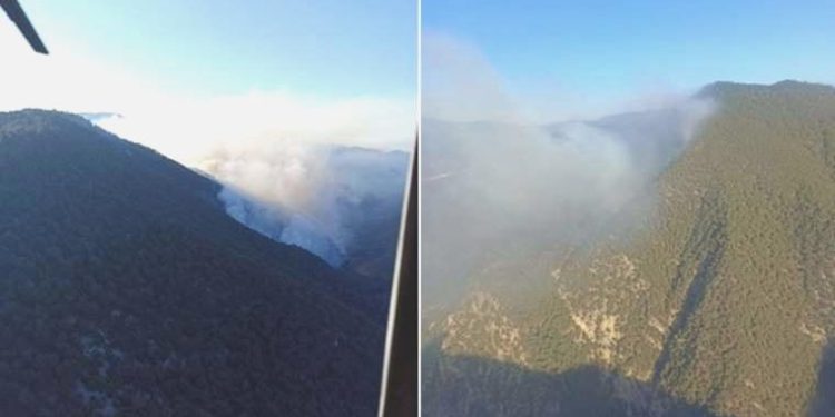 Bolu’daki orman yangını devam ediyor!