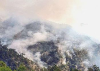 Bolu’daki orman yangını üçüncü gününde devam ediyor!