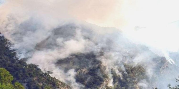 Bolu’daki orman yangını üçüncü gününde devam ediyor!