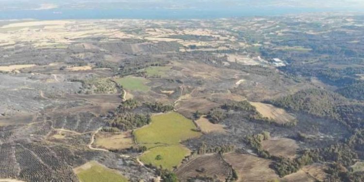 Çanakkale’de 3 bin 500 futbol alanı büyüklüğünde alan kül oldu