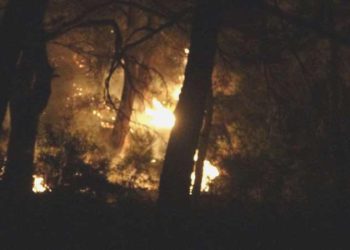 Çanakkale’de orman yangını