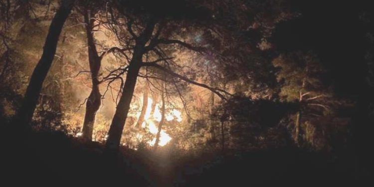 Çanakkale’de orman yangını: Müdahale sürüyor…