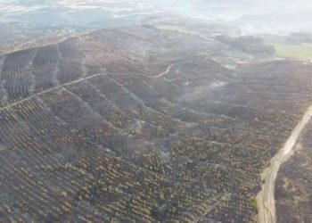 Çanakkale’deki yangının hasarı havadan görüntülendi: ‘Yeşillik alan kalmadı’