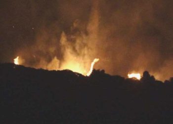 Çeşme’de orman yangını: 1 kişi gözaltına alındı!