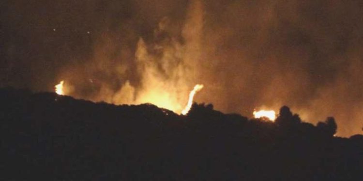 Çeşme’de orman yangını: 1 kişi gözaltına alındı!