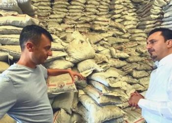 CHP’li Başevirgen: Vatandaş yaz sıcağında kömür telaşına düştü